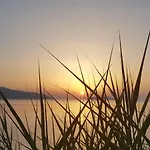I Due Ciuchini Sardinia * Sassari