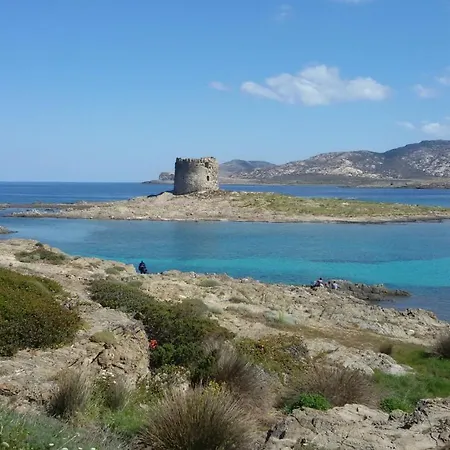 I Due Ciuchini Sardinia Sassari