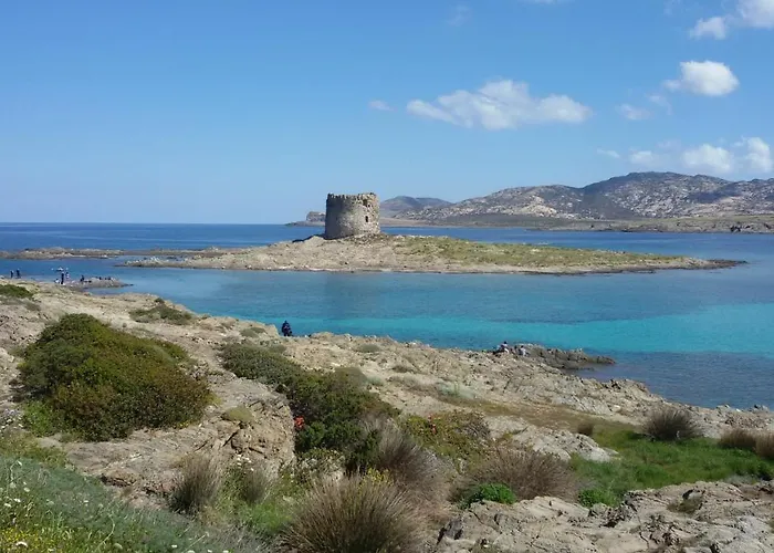 I Due Ciuchini Sardinia Sassari